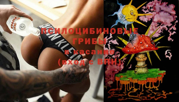 стафф Семилуки