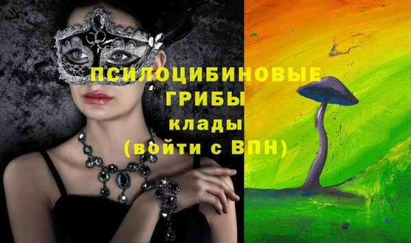 молекула духа Вязники